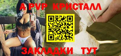 кокс Кингисепп