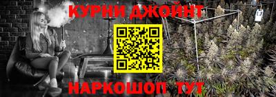 кокс Кингисепп