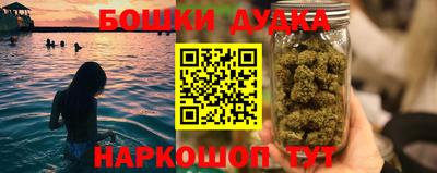 кокс Кингисепп