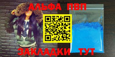 кокс Кингисепп